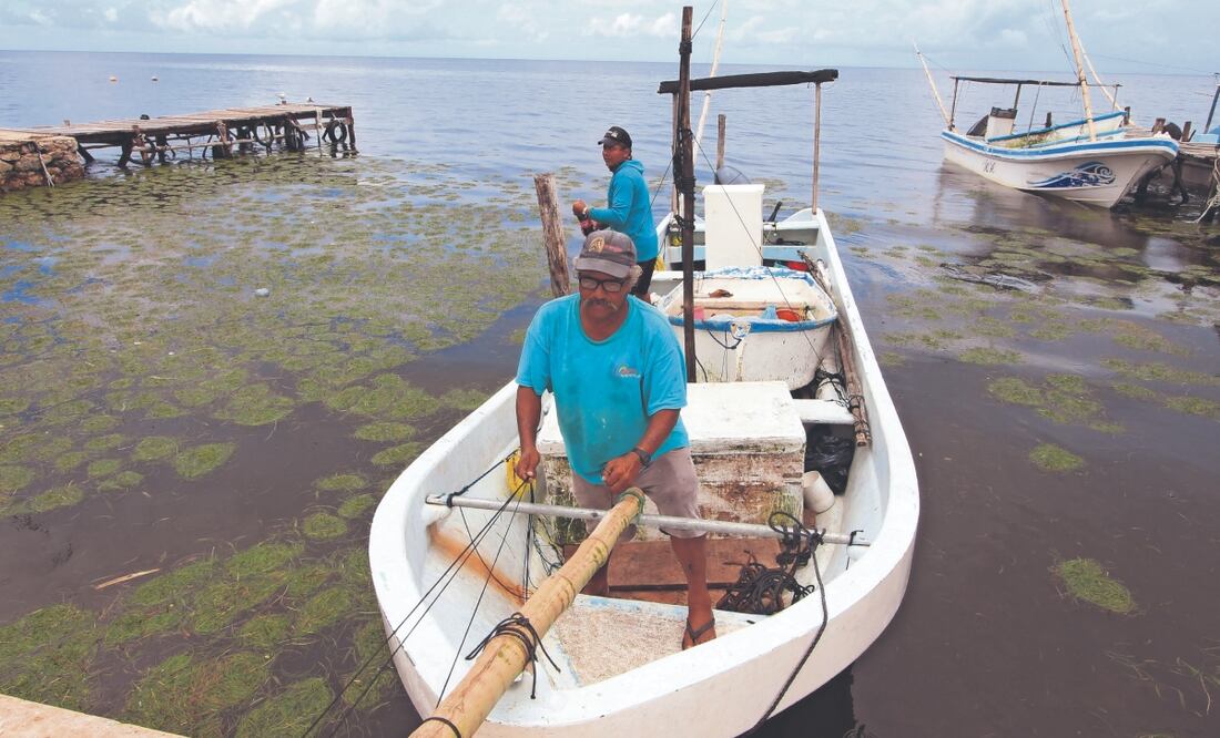 José Gazcón, quien lleva 35 años viviendo en Dzilam de Bravo, comentó que los pescadores foráneos usan artes prohibidas de pesca y sólo buscan conflictos. Foto: de YAZMÍN RODRÍGUEZ