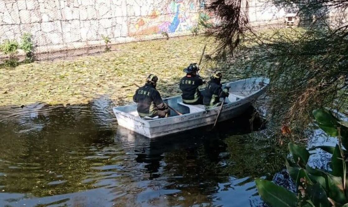 Foto: Tomada de @Bomberos_CDMX