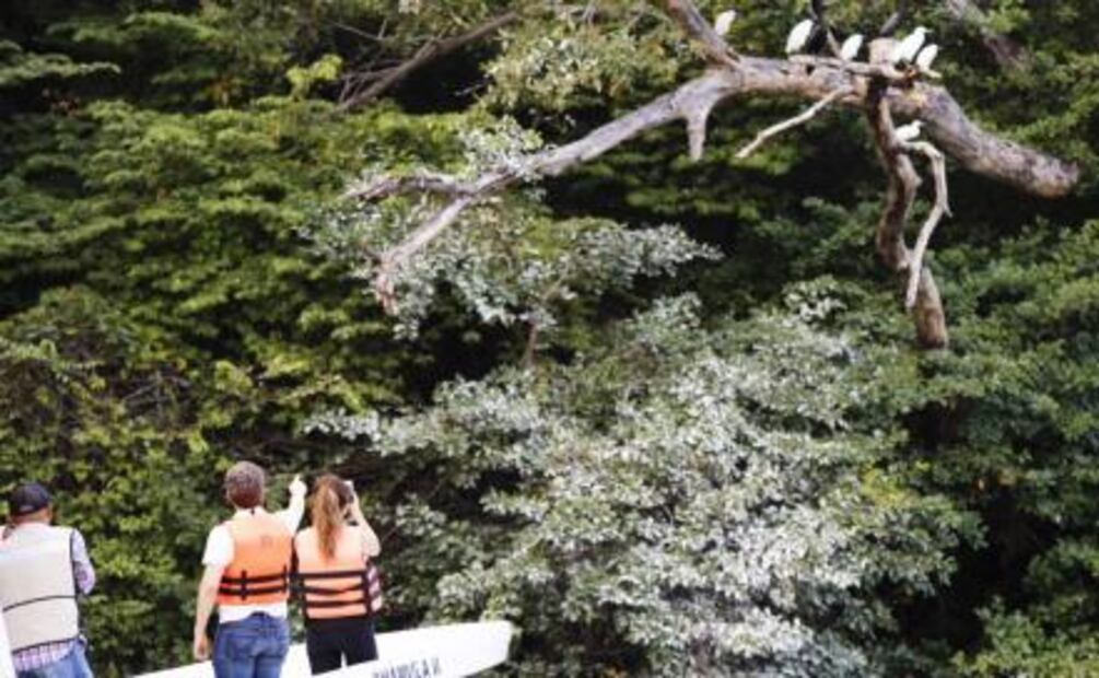 Asegura gobernador que Cañón del Sumidero está limpio