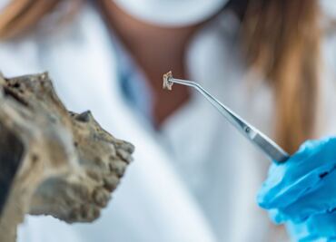 Hallan restos humanos en bolsas de plástico en Galeana, Nuevo León; se desconoce a cuántas personas corresponden