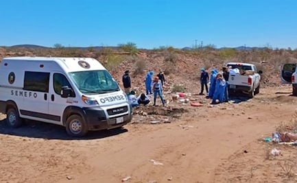 Encuentran fosas clandestinas con restos humanos en 4 municipios de Sonora