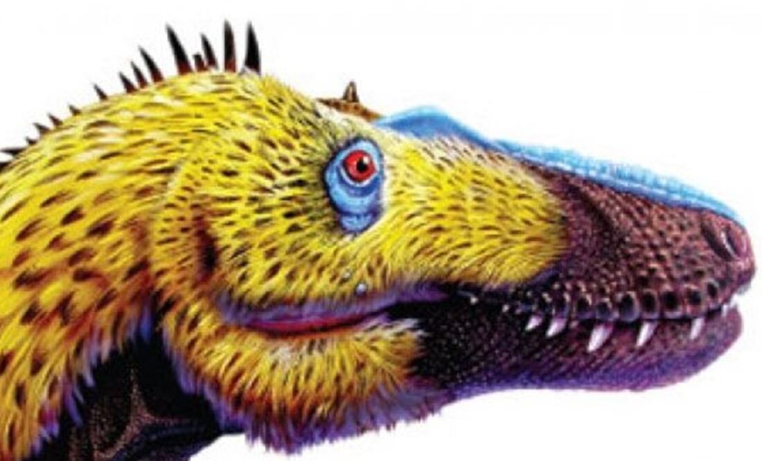 La muestra estará abierta hasta el mes de agosto de este año. FOTO: UNIVERSUM