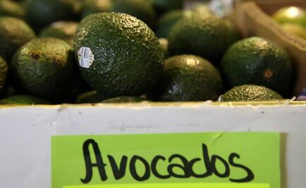 Ante amenazas de Trump, estadounidenses “claman” por aguacates de México