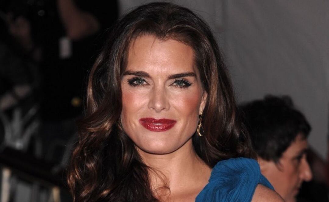 Brooke Shields con un hermoso vestido de Carolina Herrera. Fuente Instagram @brooke_shields_fanpage