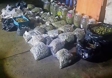 Aumentan secuestro y narcomenudeo en CDMX