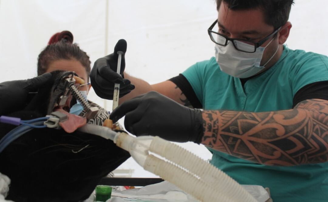 Imagen ilustrativa / Archivo