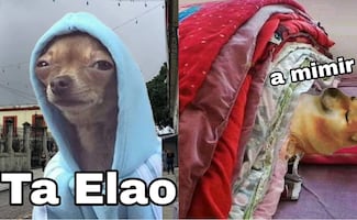 ¡Saquen las cobijas! Los mejores memes que dejó el Frente Frío 29; usuarios no perdonaron
