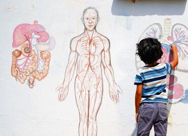 TNT mira hacia las telenovelas