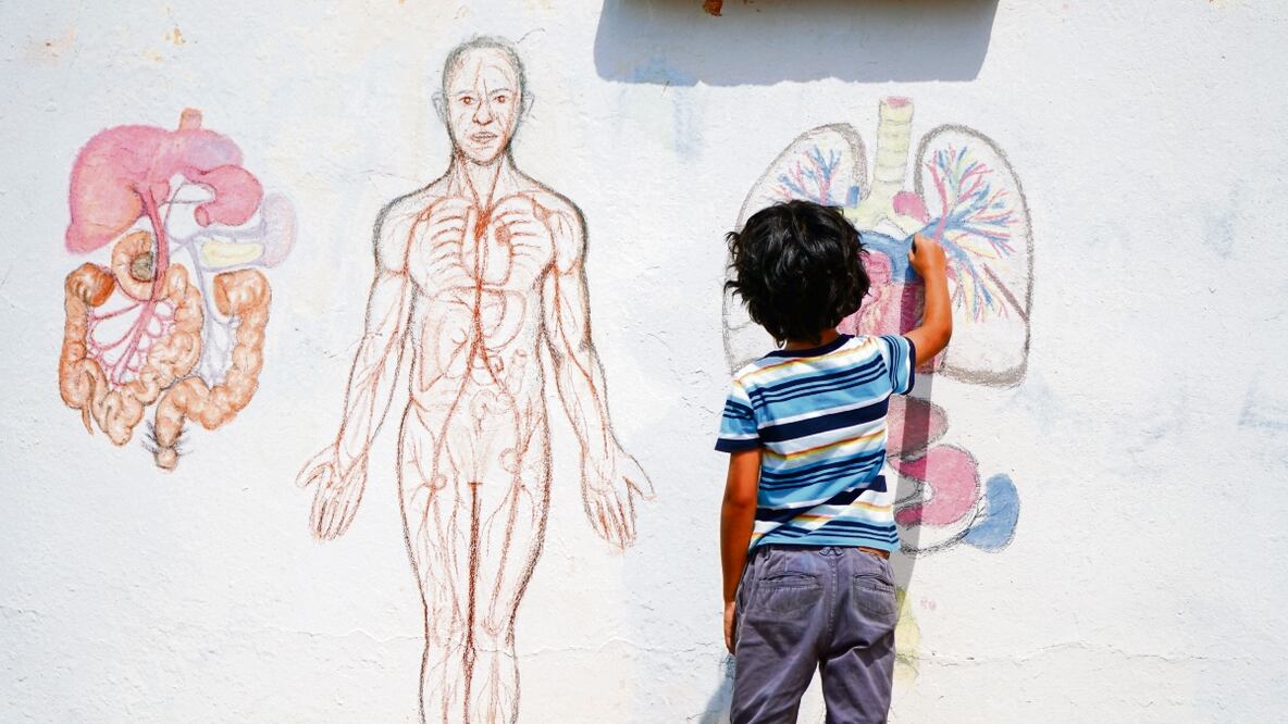 Entre los títulos que llegan a la pantalla está la novela turca, Foto: Warner Bros Discovery