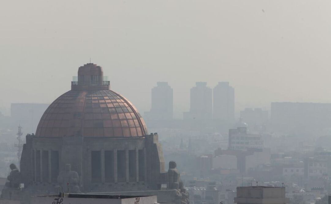 El coordinador de la CAMe dijo que el parque vehicular de la CDMX es el más nuevo de la Megalópolis pues tienen en promedio 10 años de antigüedad (ESPECIAL)
