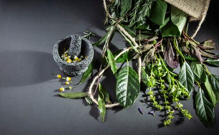 Siete hierbas para usar en la cocina