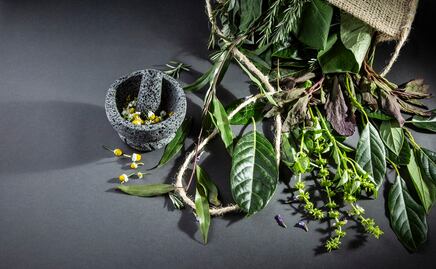 Siete hierbas para usar en la cocina