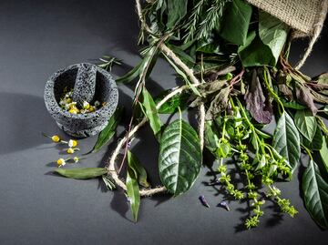 Siete hierbas para usar en la cocina