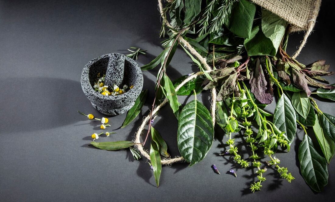 Siete hierbas para usar en la cocina.
Foto: Jorge Garaiz / El Universal