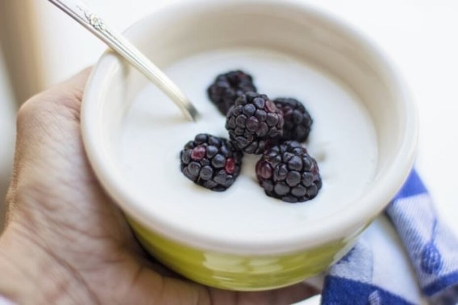 Yogur, un alimento con múltiples beneficios a la salud