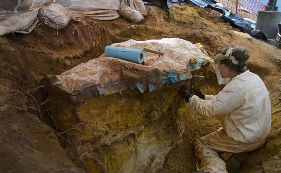 Foto: NASA GODDARD vía Europa Press