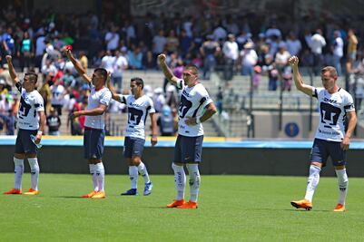 Pumas, no desean ser especie extinta en la Liguilla