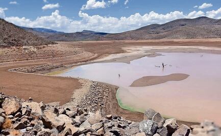 Declaran la entidad en emergencia debido a la sequía