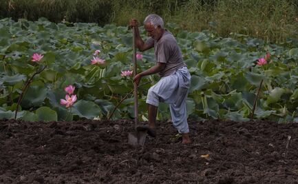 Nueva norma de descarga de aguas viola T-MEC y tratados internacionales: Concamin
