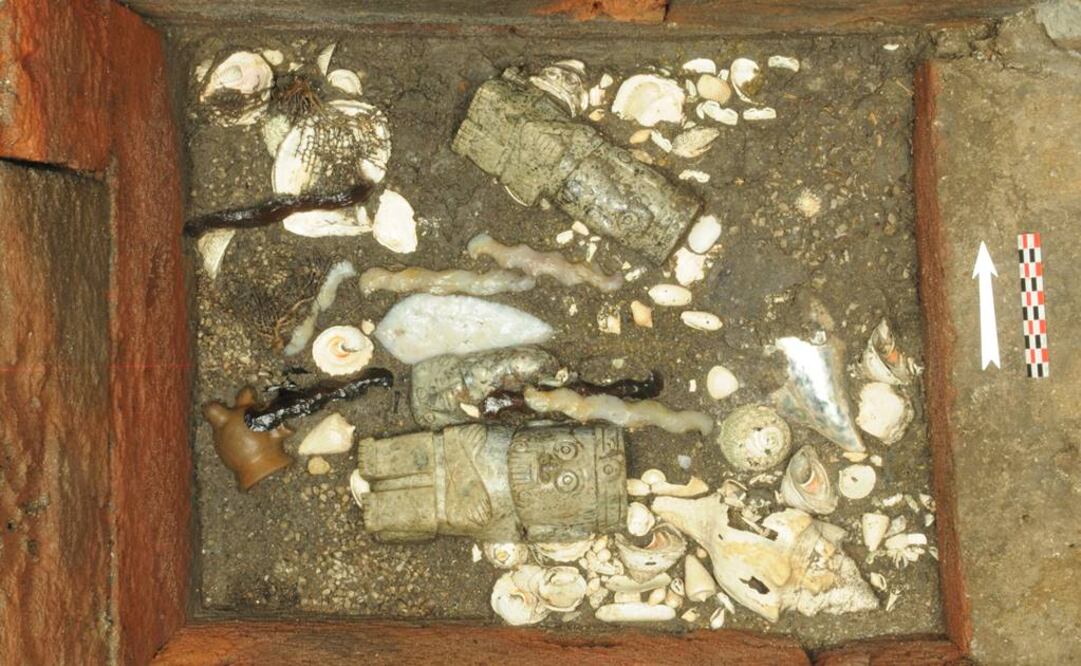 Arqueólogos y biológos que colaboran en el Proyecto Templo Mayor han identificado en ofrendas pequeños restos de estrellas de mar. Crédito: Leonardo López Luján / Proyecto Templo Mayor