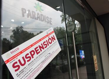 "Paradise", la tienda de cannabis de la que es socio Vicente Fox y fue clausurada
