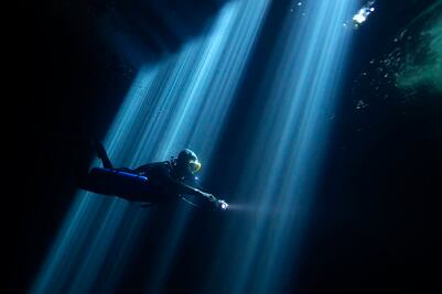 Cenotes de Riviera Maya: fantástico universo en esta expo virtual