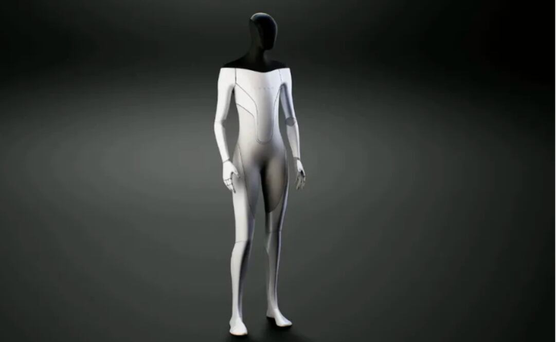 Empezarán a operar el próximo año. 