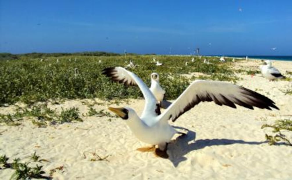 Descubre la isla de Yucatán que solo acepta 111 turistas al día