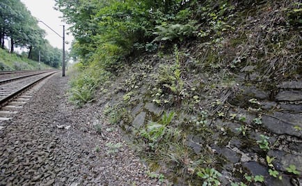 Bajo cerco policial, zona donde podría estar el tren del oro nazi