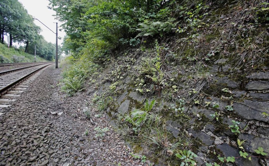  El posible lugar donde se cree que se encuentra oculto un tren nazi lleno de oro cerca de la ciudad de Walbrzych, Polonia. FOTO: AP.
