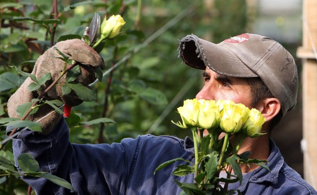 (FOTO: Archivo/EL UNIVERSAL)