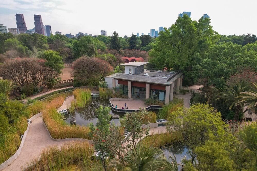 El Museo del Ajolote forma parte del Zoológico de Chapultepec. Foto: Twitter @ChapultepecCDMX
