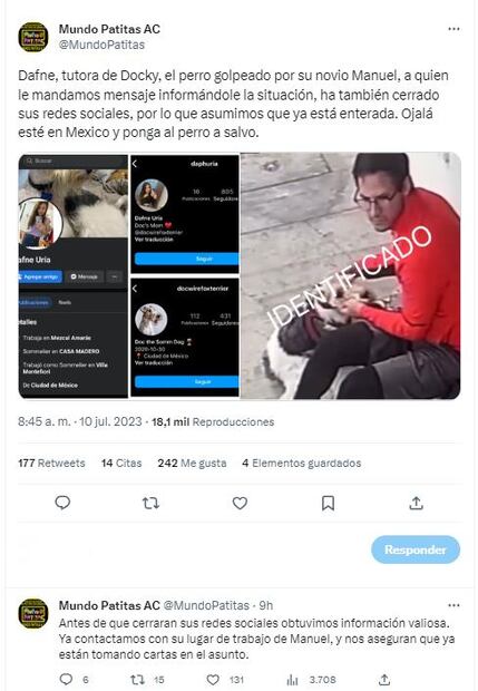 Tweet Mundo Patitas sobre "Docky"