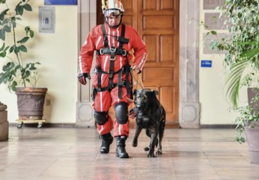 Así recuerdan en los estados a las víctimas del 19-S