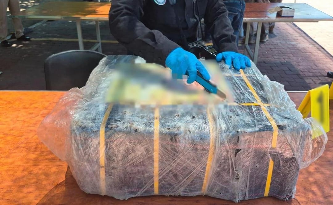 Semar asegura 270 kilos de cocaína en el puerto de Manzanillo, Colima (20/06/2026). Foto: Especial