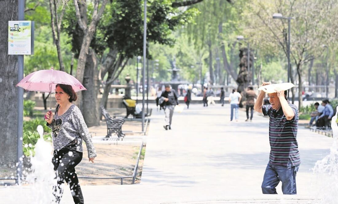 (Fotografía: Archivo )