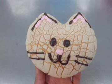 Conoce las Michi Conchas para los amantes de los gatos