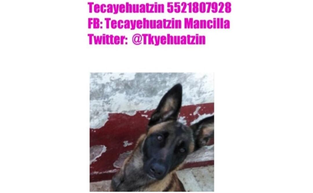 Fotografía: Especial