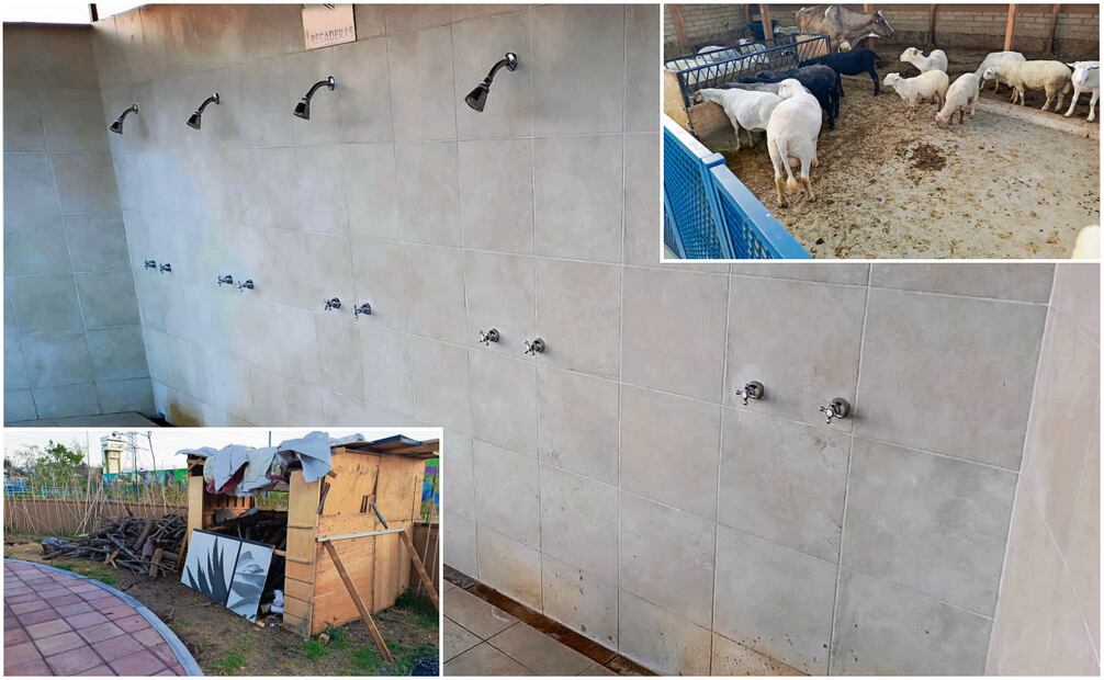 Las regaderas del temazcal tienen deterioro y una pequeña casa está arrumbada; en la granja hay animales hacinados, sucios y en estado cuestionable. Foto: Fernanda Rojas | El Universal