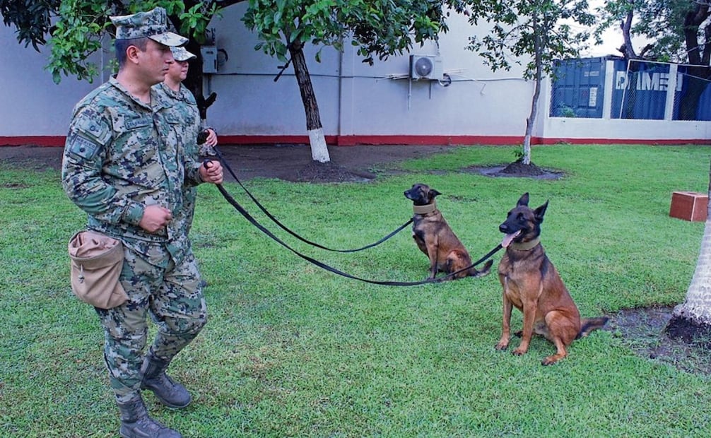 Hacen equipo para detectar sustancias prohibidas