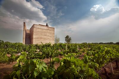 Regalos para papá: 6 viajes con vino y tequila por México y el mundo
