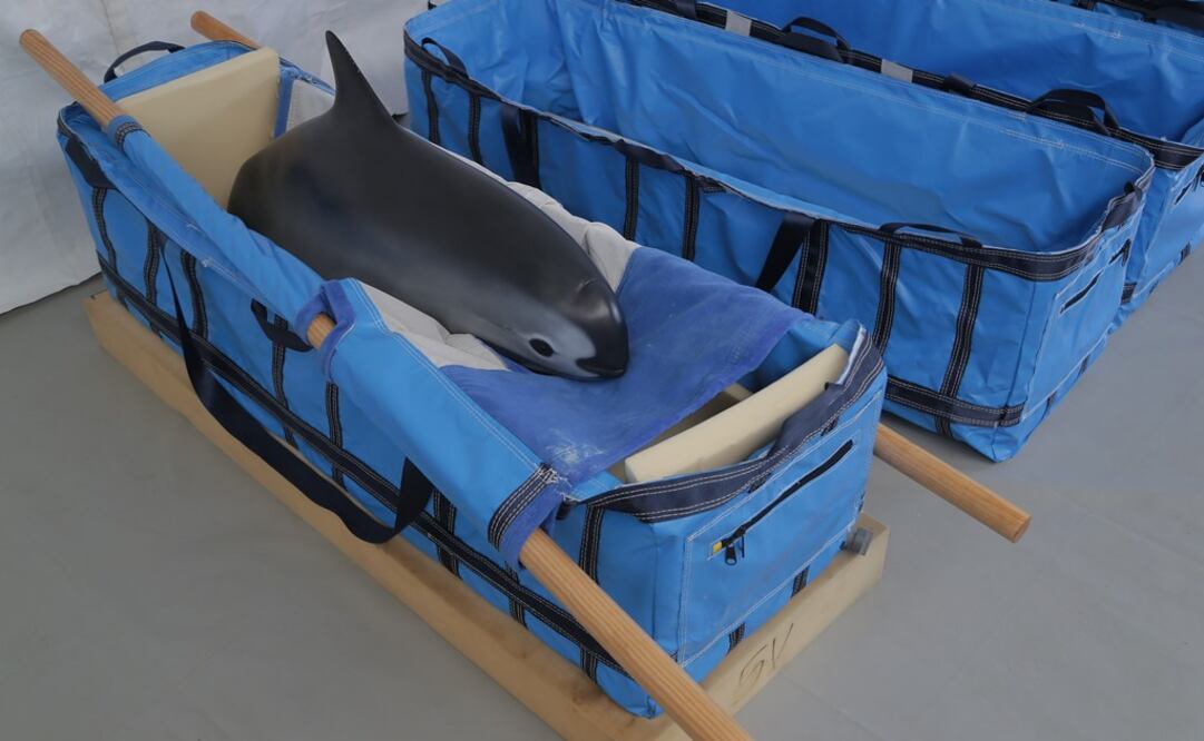 Foto: Archivo / EL UNIVERSAL