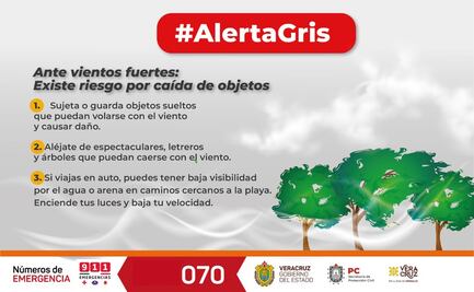 Alerta por intensa surada en Veracruz