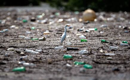 Estados Unidos, el país que más consume y menos recicla