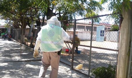 Controlan ataque de abejas africanas en Oaxaca