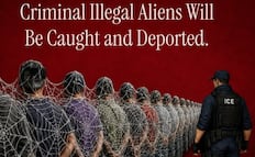 La Casa Blanca usa a "Spider-Man" para promover las acciones del ICE contra migrantes