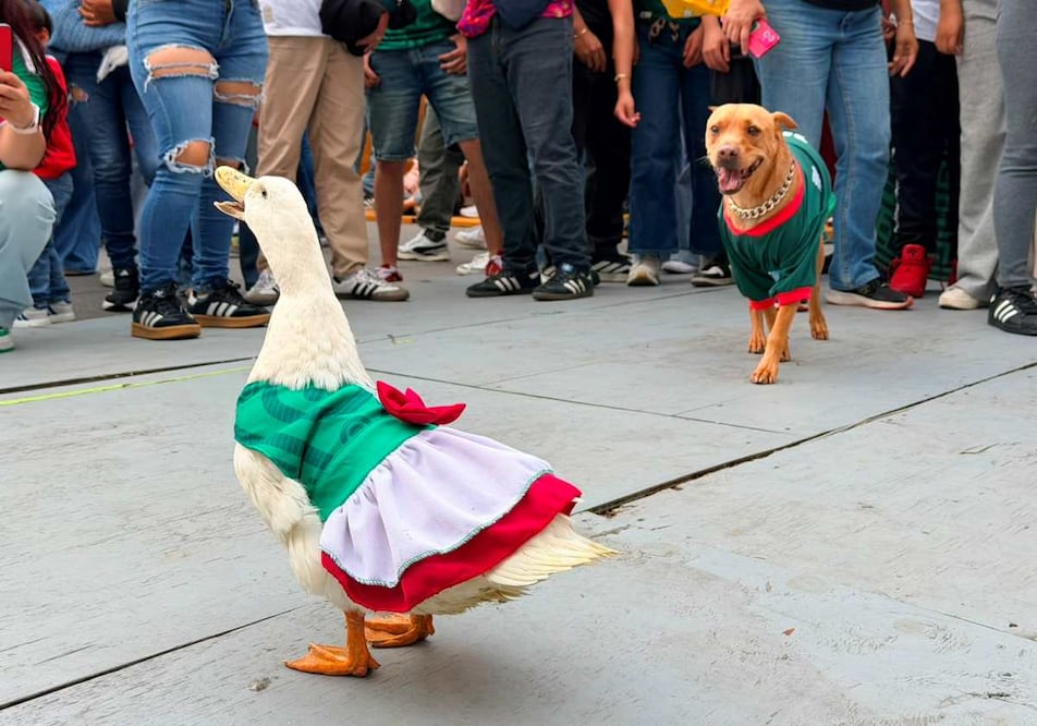 La patita Juanita y el perro Sultán asisten al FIFA Fan Fest para apoyar a México. Foto: Arturo Ordaz Díaz / EL UNIVERSAL