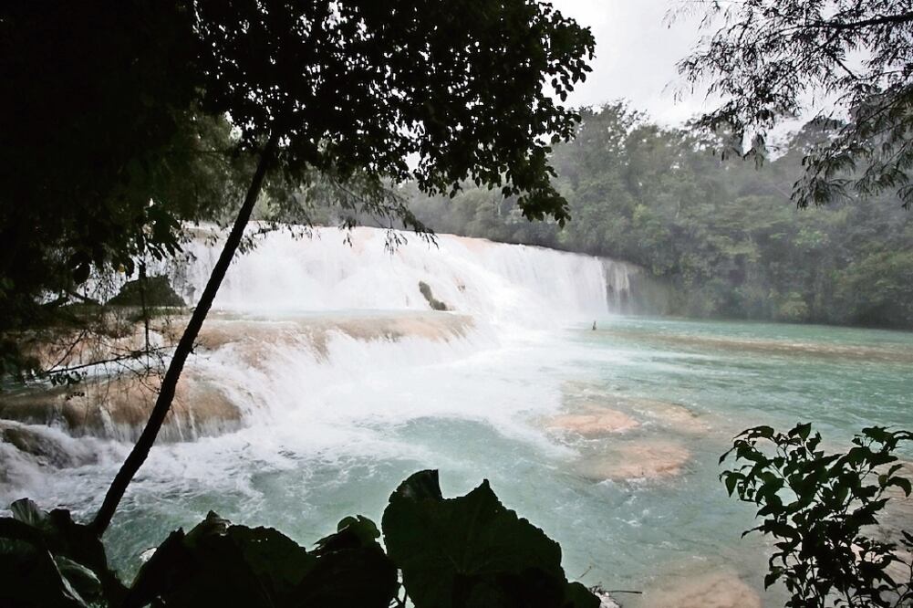 El gobierno de Chiapas contrató a la empresa Omega Construcciones para que trabajara en Agua Azul y lograra rescatar esta zona turística (FREDY MARTÍN. EL UNIVERSAL)