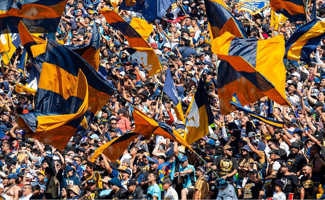 Liga MX: Aficionados de Pumas se pelean en la derrota ante Rayados FOTO: IMAGO
