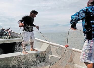 Pescadores de Yucatán proponen flexibilizar vedas para mejorar productividad tras Covid-19